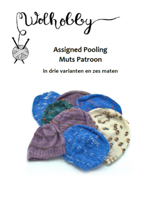 Yarn kit: Assigned pooling Merino wool with pattern for a hat